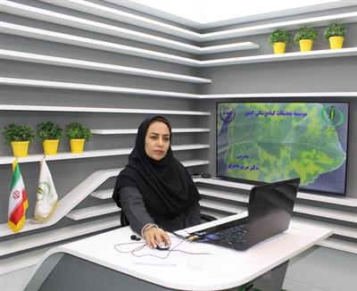 مدیریت تلفیقی بیماریهای سبزی و صیفی